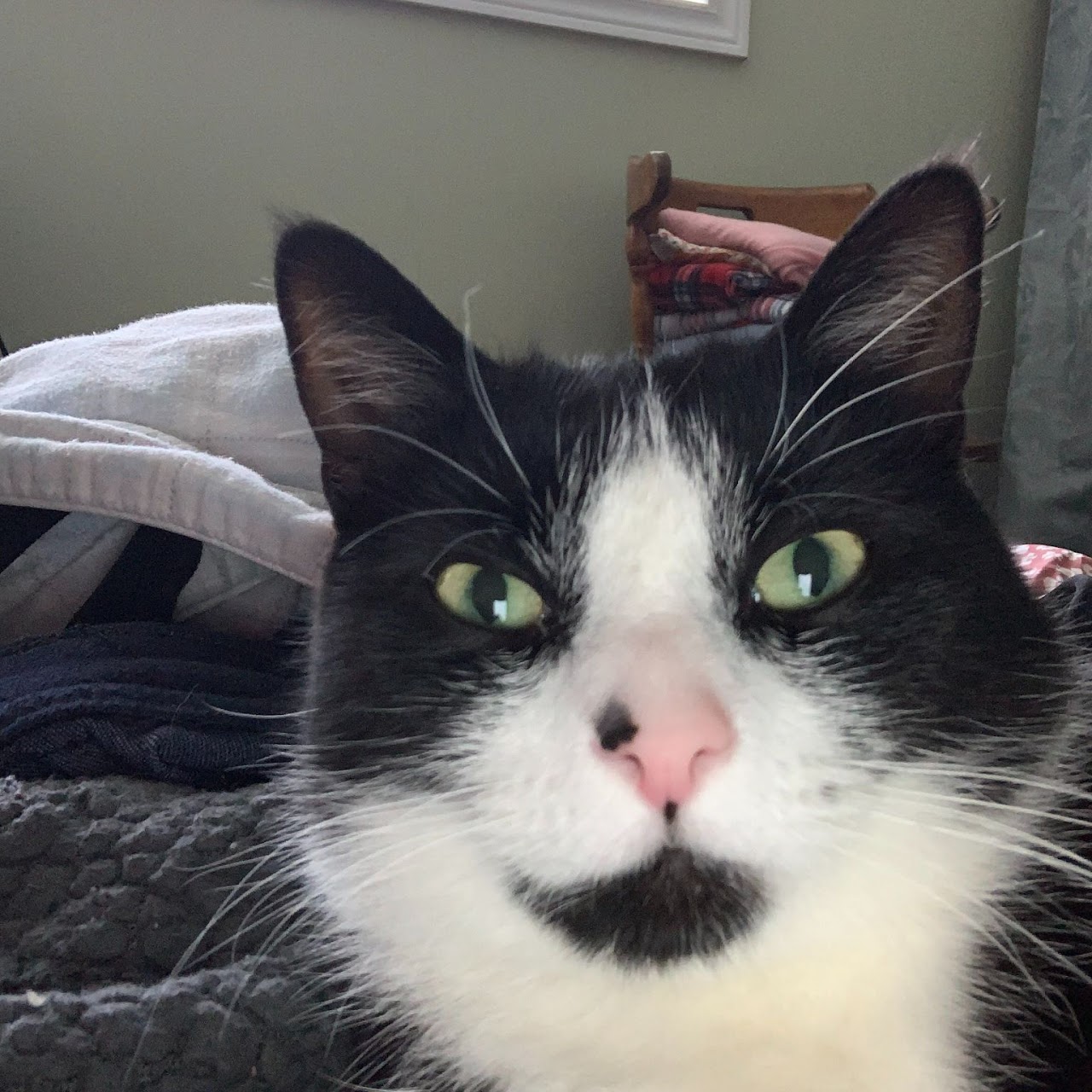 fuzzy1
