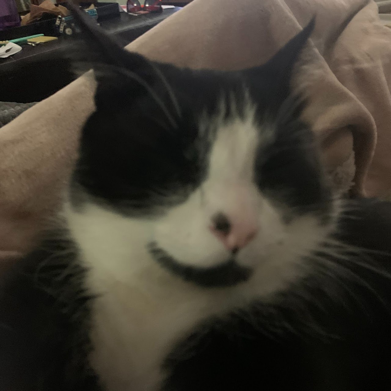 fuzzy2