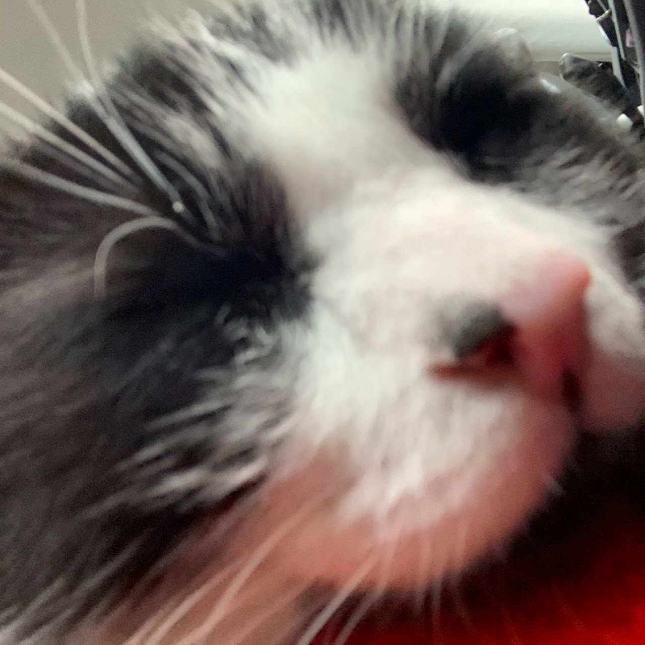 fuzzy4