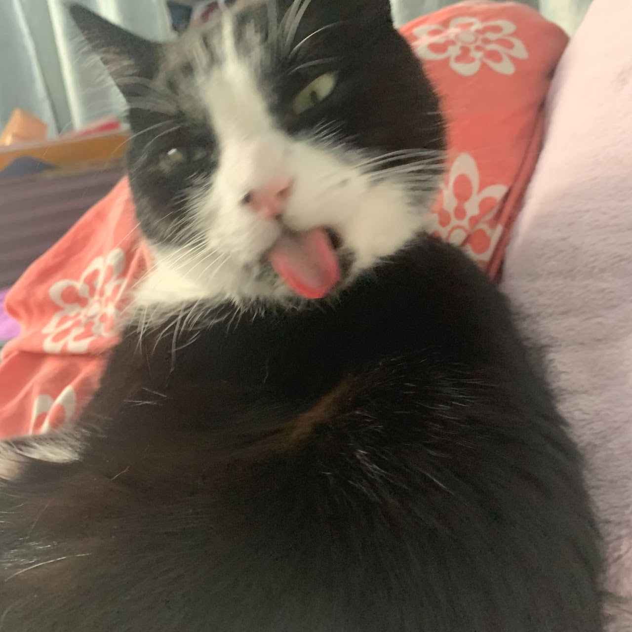 fuzzy5